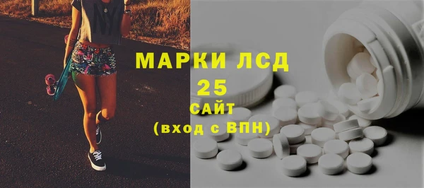 стаф Арсеньев