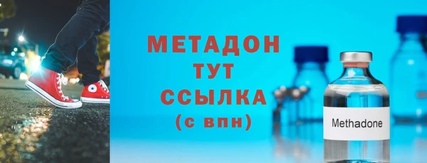 сатива Новозыбков