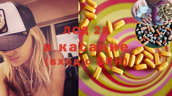 стаф Арсеньев