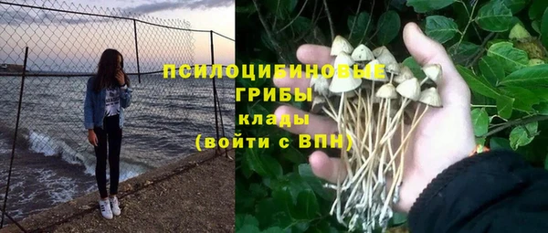 стаф Арсеньев