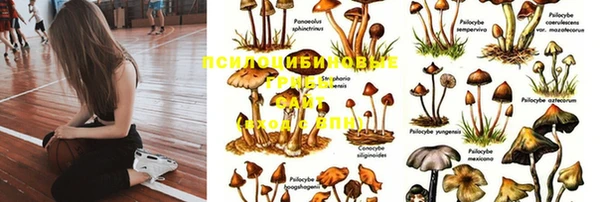 мдпв Армянск