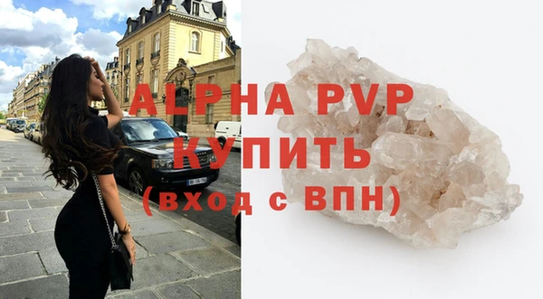 стаф Арсеньев
